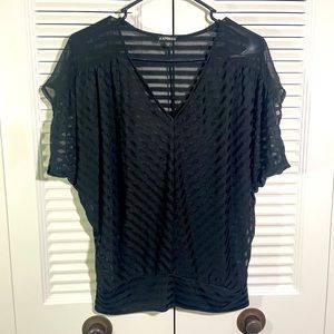 Express Sheer Striped Blouse